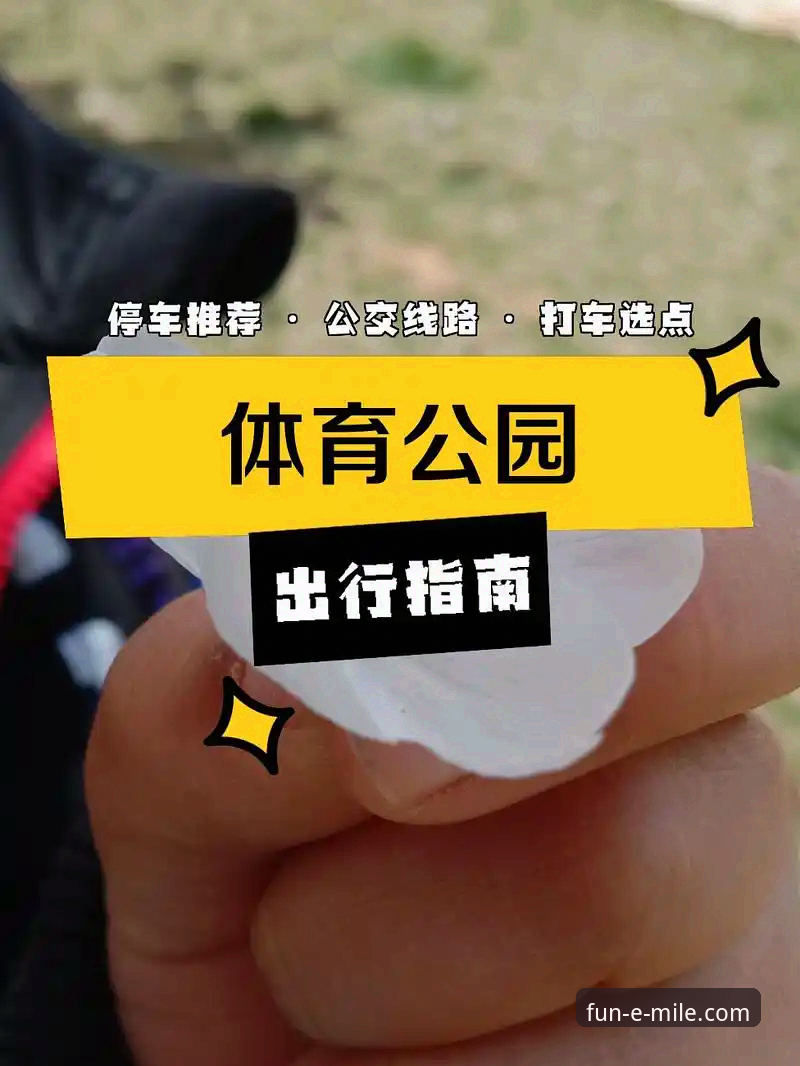 米乐体育平台使用完整指南：从正规性验证到下载问题解决