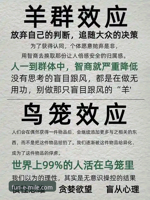 米乐体育平台APP下载安装的3大核心对比与5个关键数据洞察